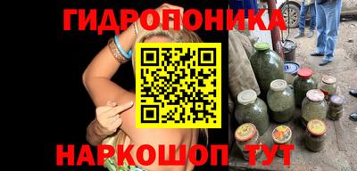 СК Лесосибирск