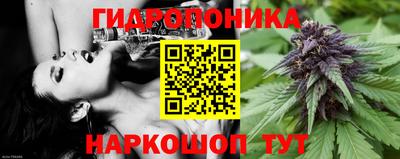 шишки Ливны